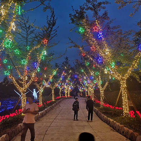 湖南张家界市政道路亮化